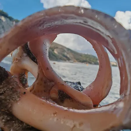 Διαμέρισμα лятно изкушение